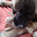 terka-jezkova avatar