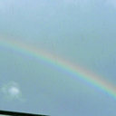 terminally-gay avatar