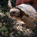 terminallyamazing avatar