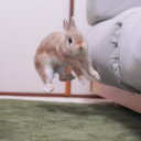 terminalrelativity avatar