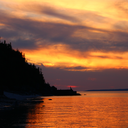 terminollycapricious avatar