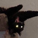 terpsichorian avatar