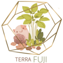 terra-fuji avatar