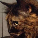 terra-of-roshar avatar