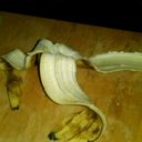 terrabitesyou avatar