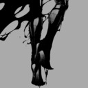 terracelleste avatar