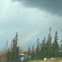 terraincognita1 avatar