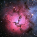 terrarium-crafts avatar