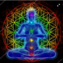 terrasolacelife avatar