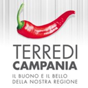 terredicampania-blog avatar