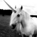 terreslicorne avatar