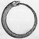 terrestrial-noesis avatar