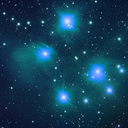 terrible-face avatar