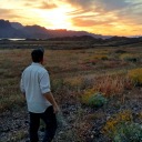 terribleadventuresdotcom avatar