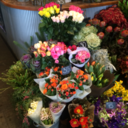 terriblecreaturez-blog avatar