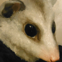 terribleterribleterrible avatar