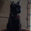 terribletisme avatar