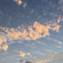 terriblewonder-r avatar