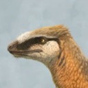 terribly-clawed avatar