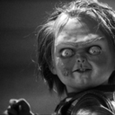 terrorameianoite avatar