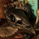 terrorfromtheswamp avatar