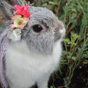 terrorpersonified avatar