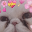 terry-the-funky-asexual avatar