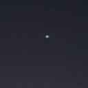 tersdonenvenus avatar