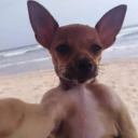 terstegensblog avatar