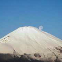 teru-shou-hou avatar