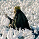 teselli-ikalb avatar