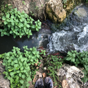 tessa-petitadventures avatar