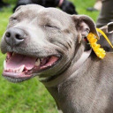 tessaxholland avatar