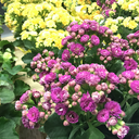 tesseract1443-blog avatar