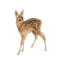 tetheredtoair avatar