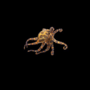 tetrodotoxin avatar