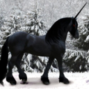 texasprankster avatar