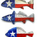 texasredfish avatar