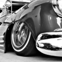 texastaildraggerskk avatar