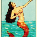 texasyadi-blog-blog avatar