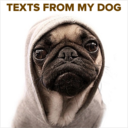 textsfromydog avatar