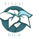 teyvathighzine avatar