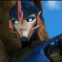 tfp-is-my-lifeblood-lol avatar