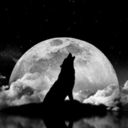 tgassassin2035 avatar