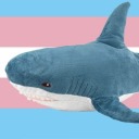 tgirl-offical avatar