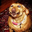 th1s-1s-my-aesthet1c avatar