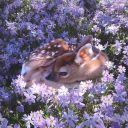 th3-3dgi3st-wh0r3 avatar