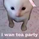 th3sun1stoobr1ght avatar