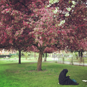 thahirasthoughts-blog avatar
