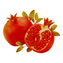 thalasophobic avatar